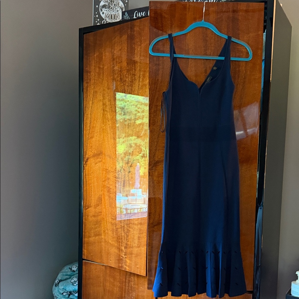 Ted Baker London Deep Blue Midi Dress